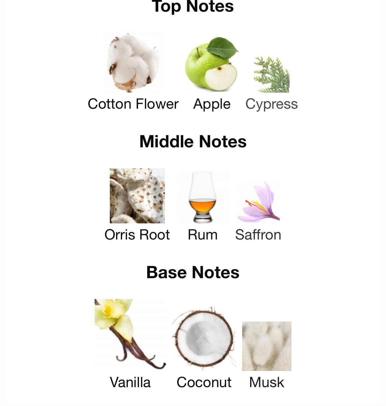 Andromeda's Inspired by Queening Eau De Parfum Narcotica