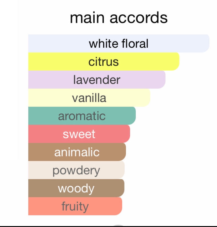 Andromeda’s Inspired by Libre Eau De Parfum