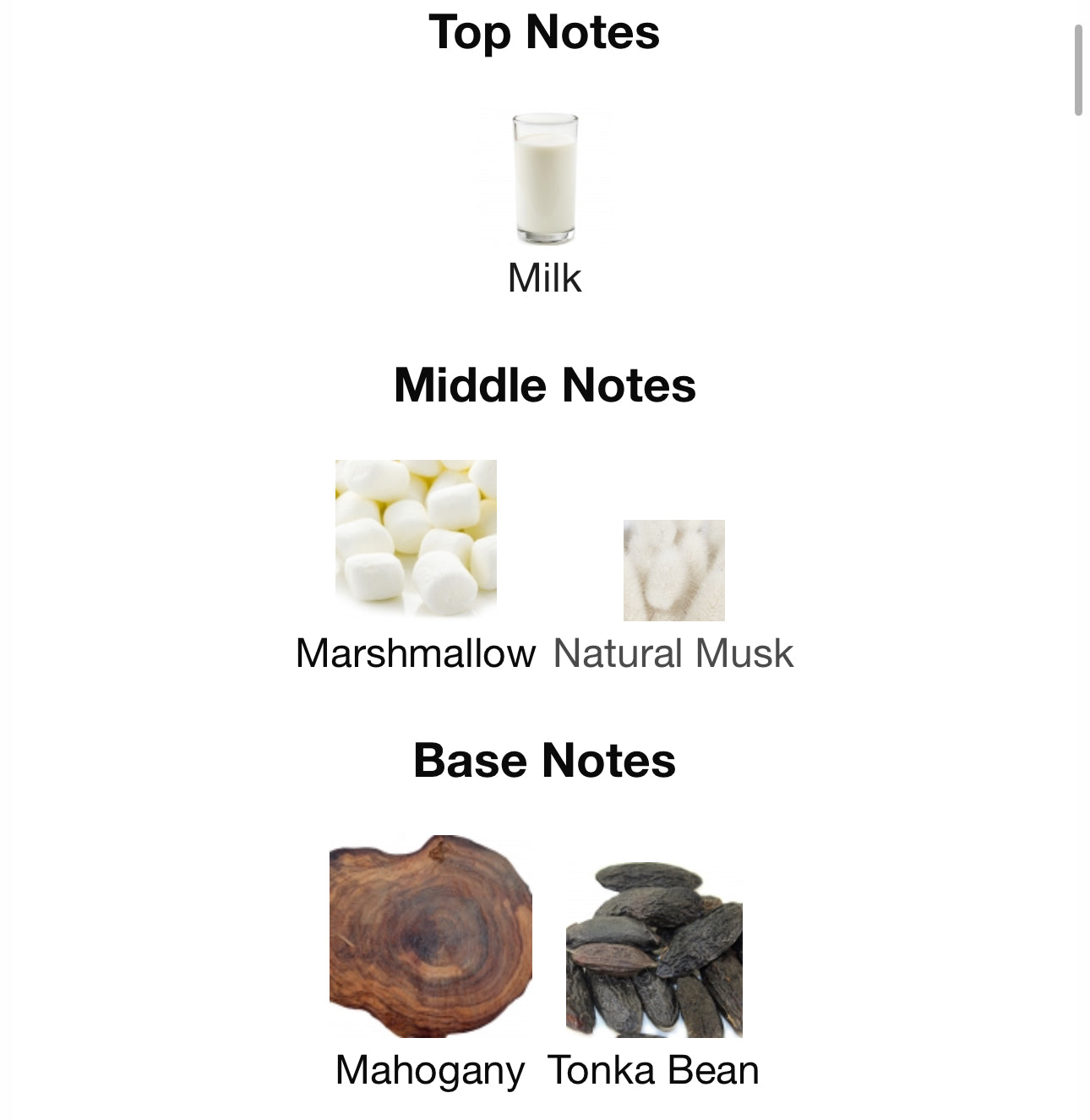 Andromeda's Inspired by Milk Eau De Parfum Commodity