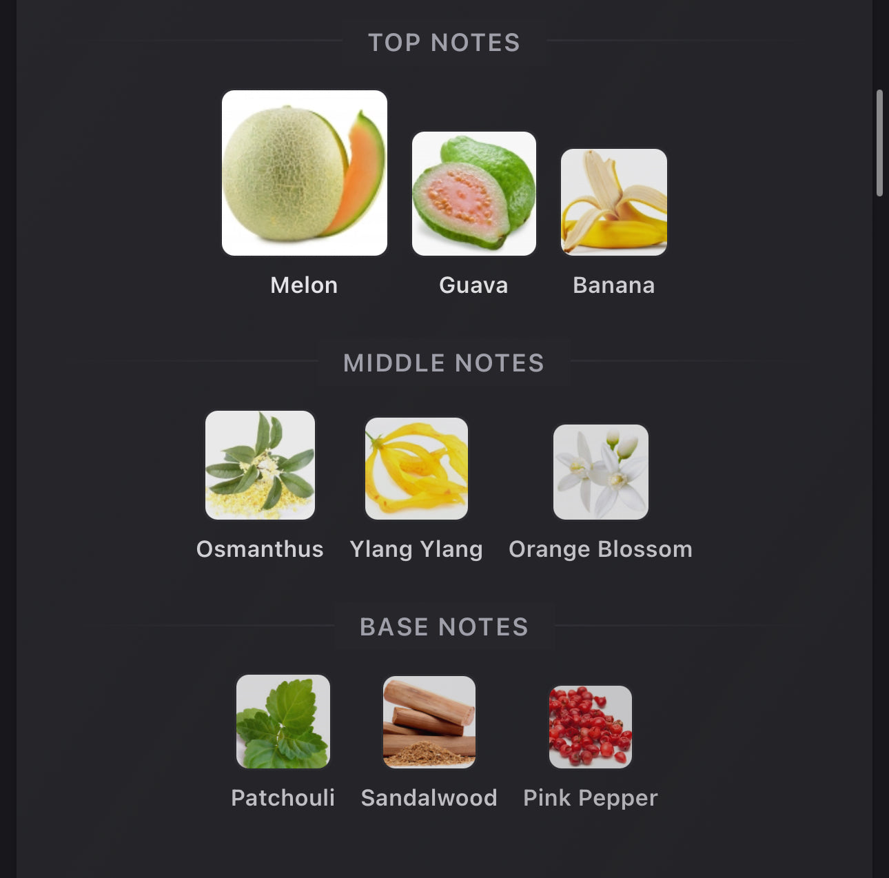 Inspired by Counterplay Eau De Parfum Mind Games