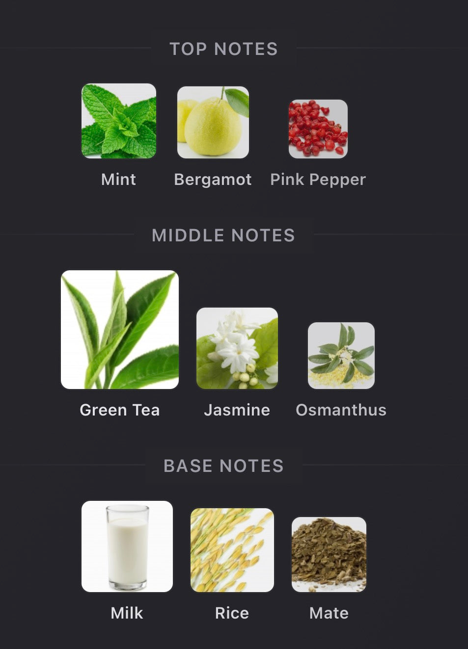 Inspired by Tea Escape Eau de Parfum Maison Martin Margiela