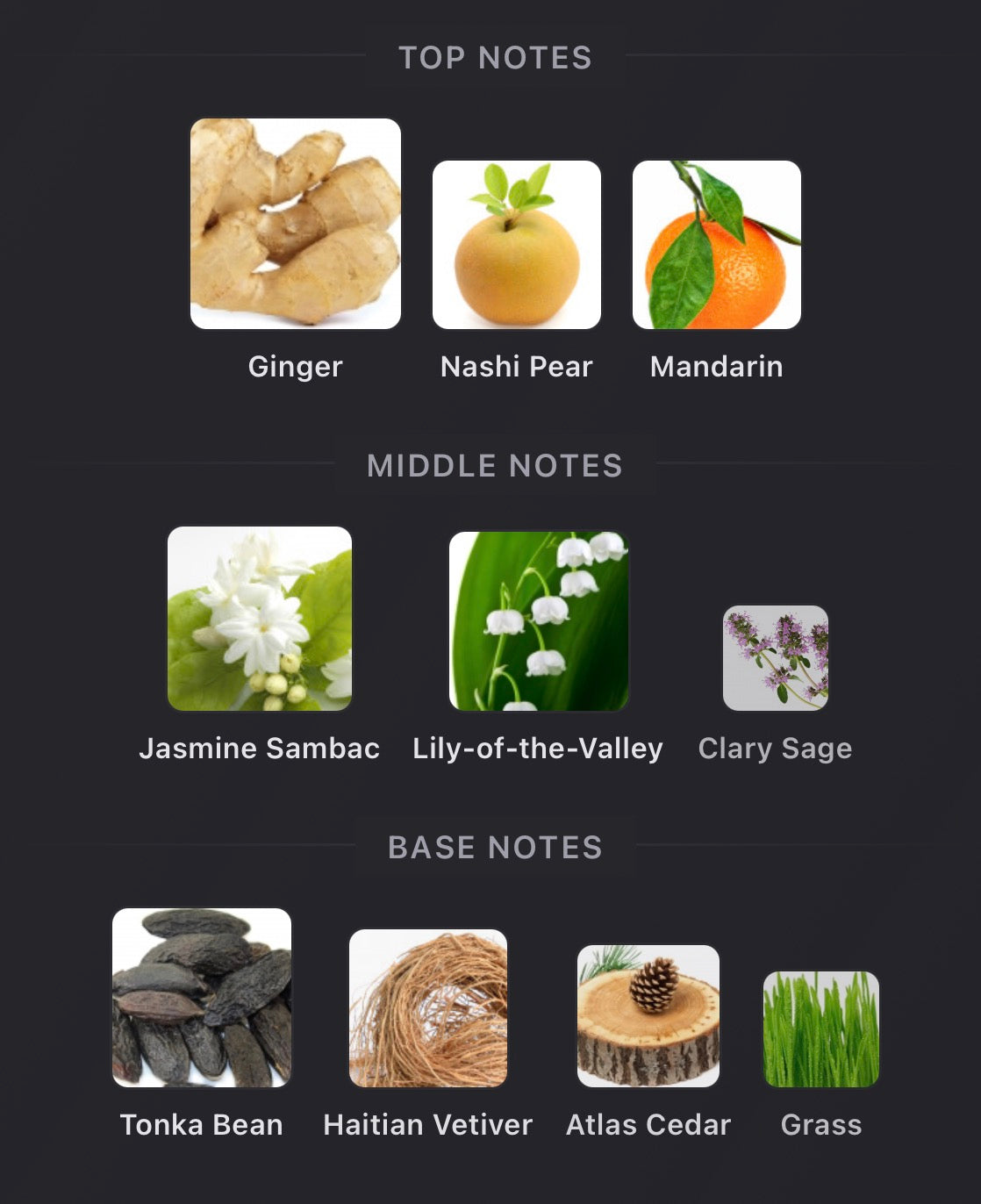 Inspired by Cloudar Eau De Parfum Better World Fragrance House