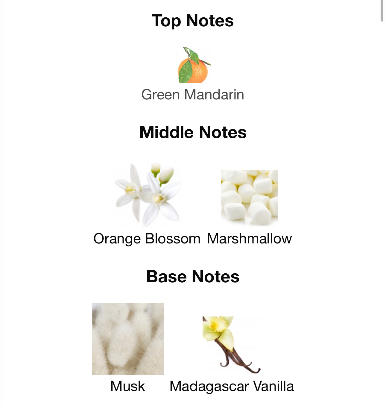 Andromeda's Inspired by Donna Born in Roma Ivory Eau De Parfum Valentino