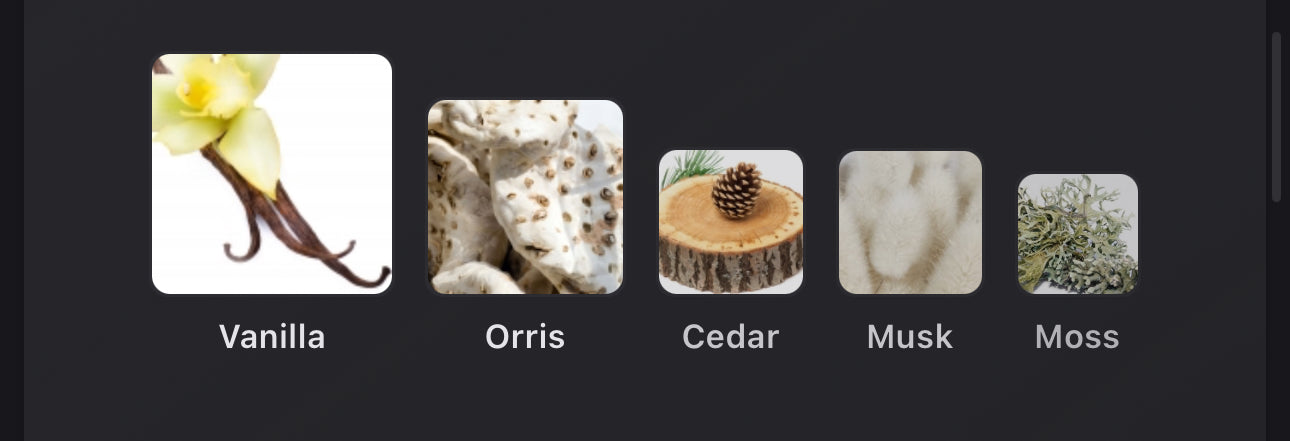 Andromeda's Inspired by Black Tie Eau De Parfum Céline