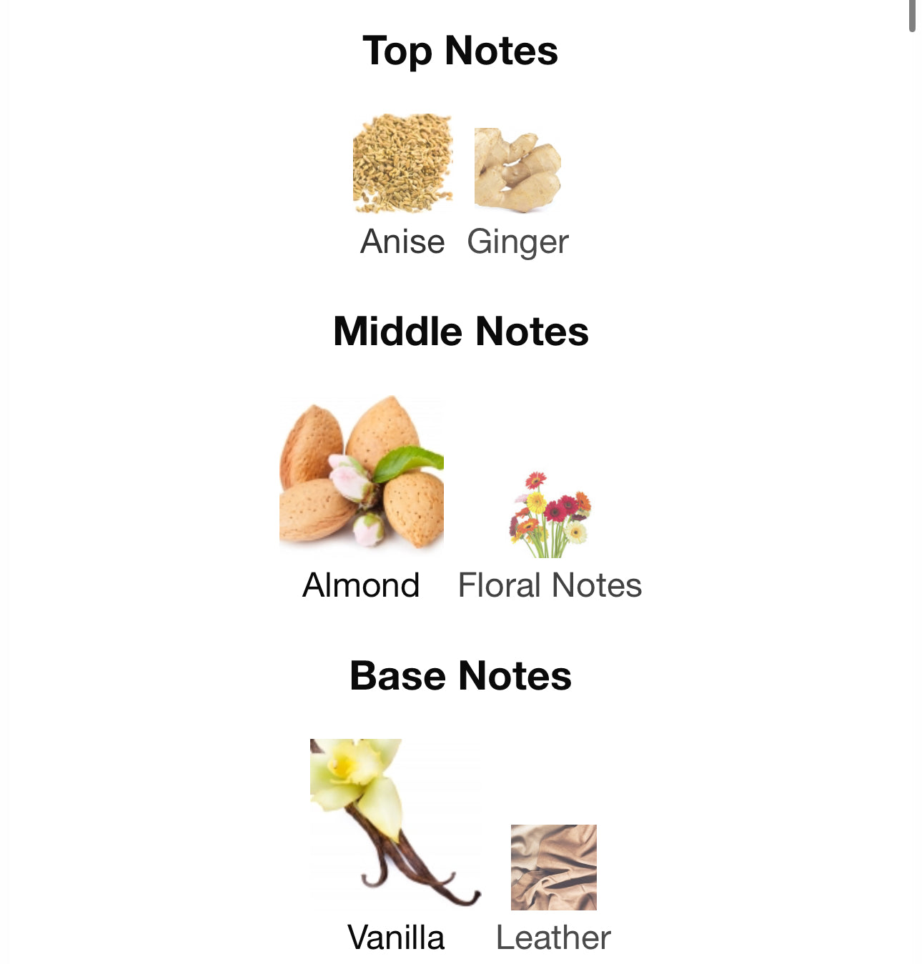 Andromeda's Inspired by Powder Love Eau De Parfum Juliette Has a Gun