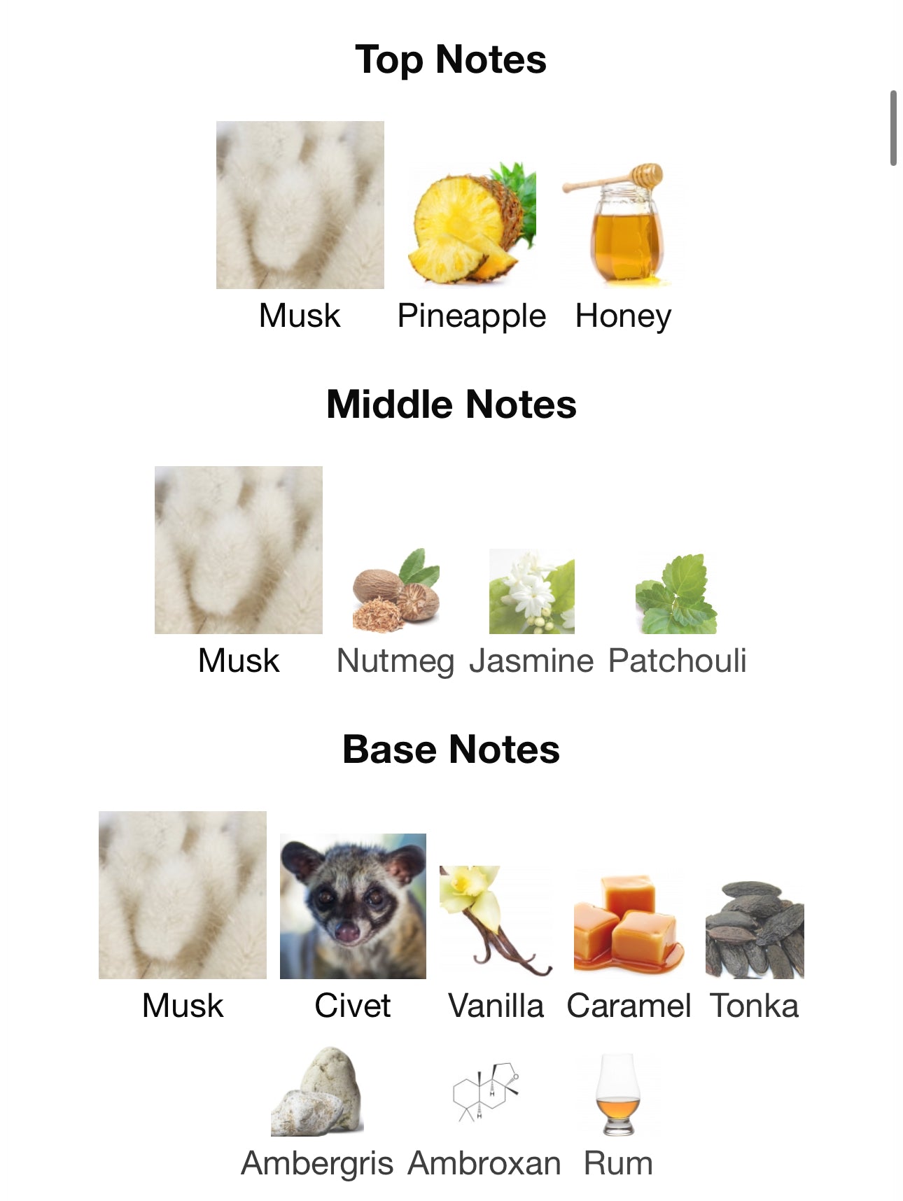 Andromeda’s Inspired by Filthy Musk Eau De Parfum BORNTOSTANDOUT