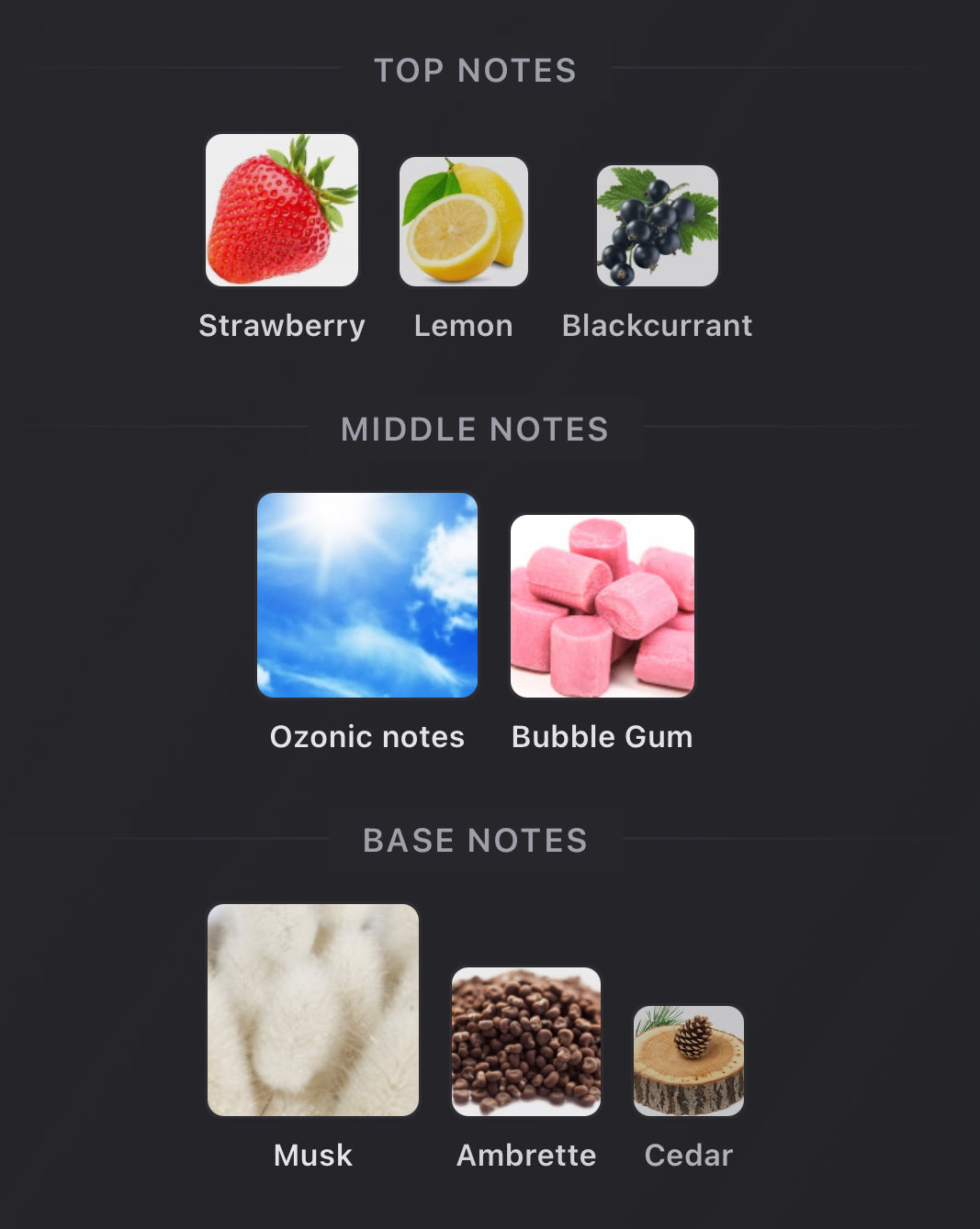 Andromeda's Inspired by Love-O-Matic Eau De Parfum Room 1015