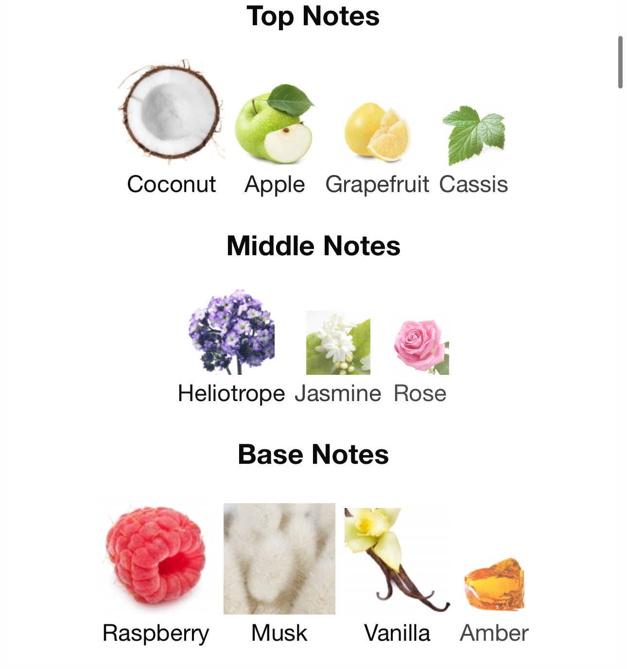 Andromeda's Inspired by Tutu Eau De Parfum Gritti