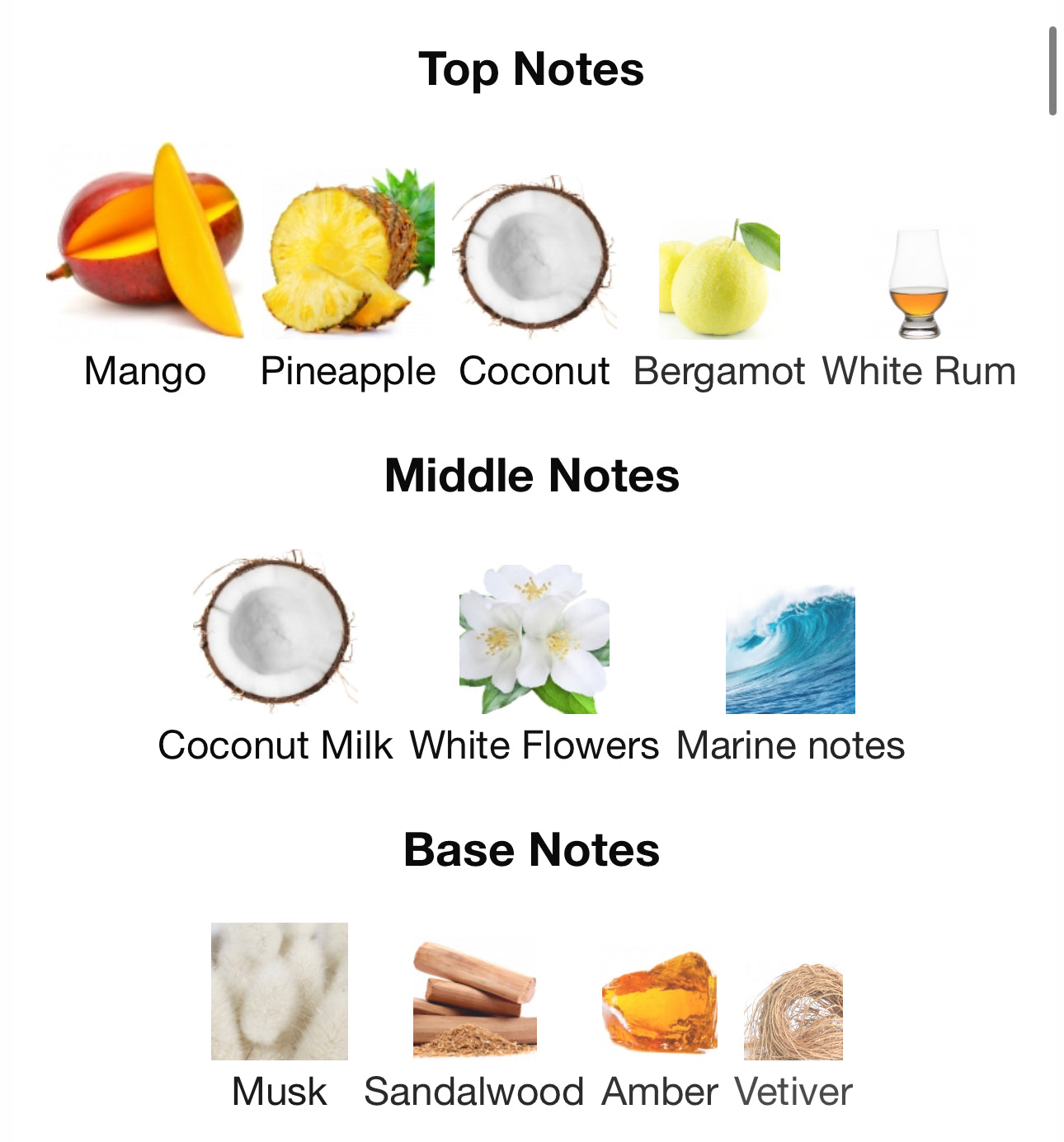 Andromeda's Inspired by Summer Hammer Eau De Parfum Lorenzo Pazzaglia