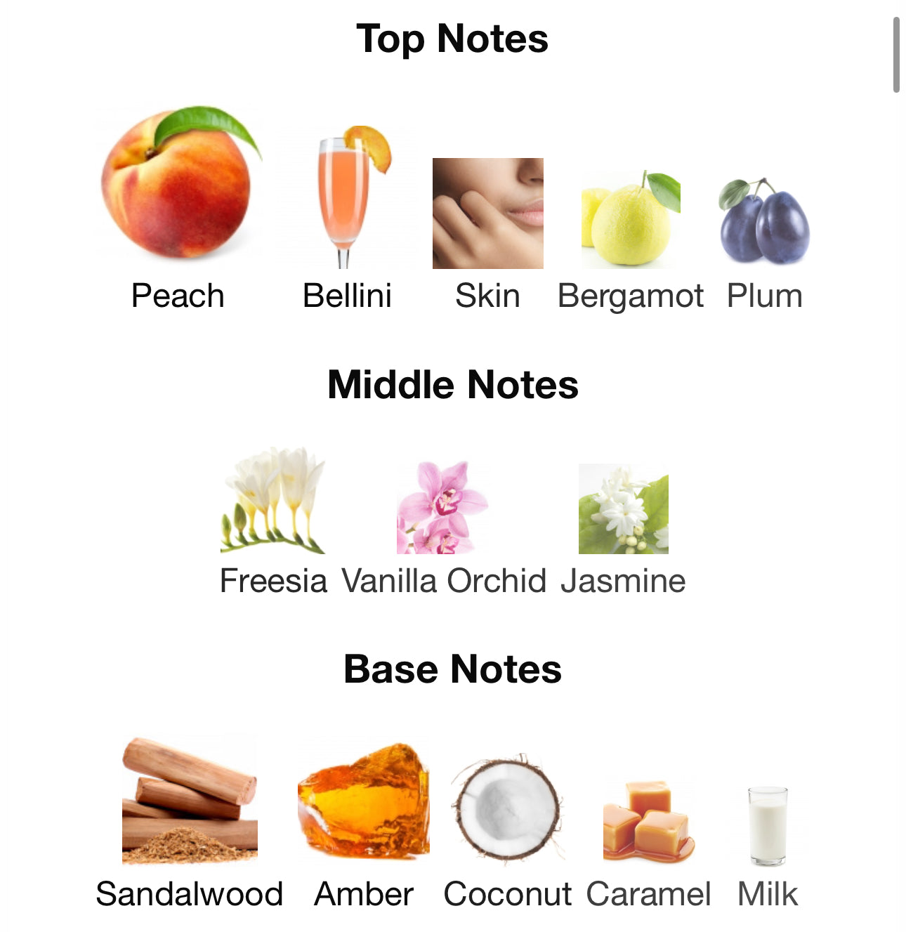 Andromeda's Inspired by Peach Skin Eau De Parfum Phlur