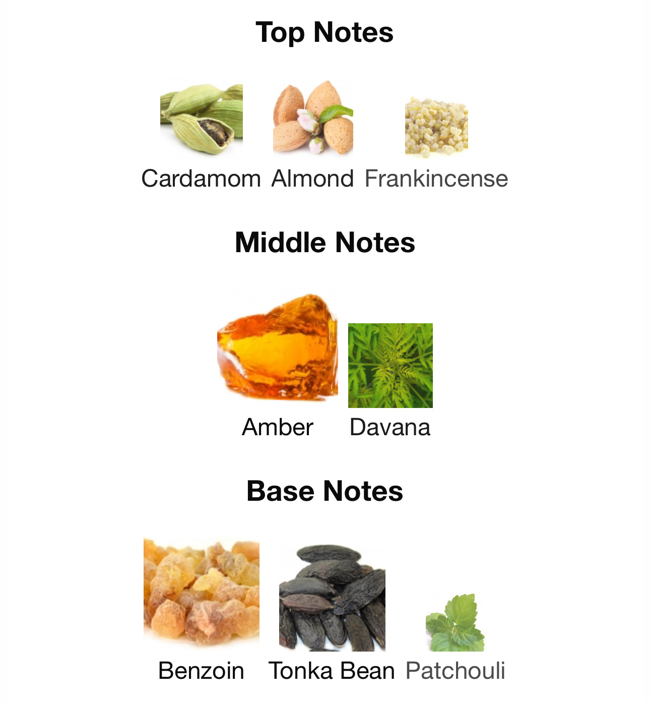 Andromeda's Inspired by Ambre Samar Eau De Parfum Guerlain