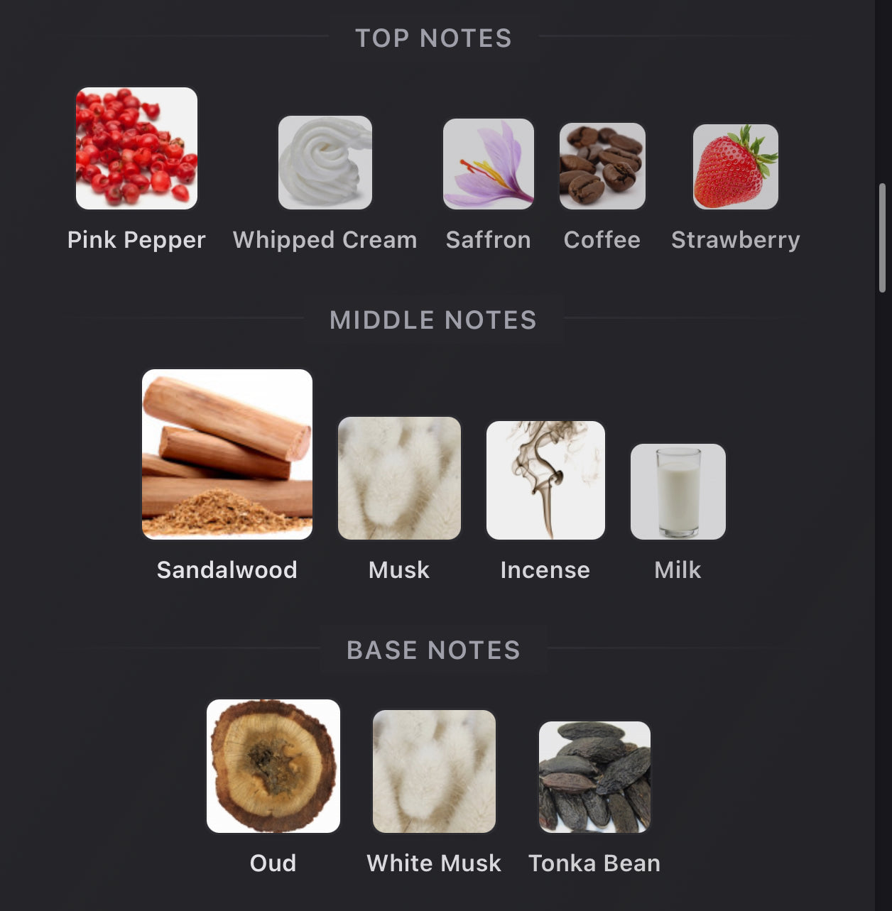 Andromeda's Inspired by Oudgasm Milky Musk Oud 30 Eau De Parfum Kayali