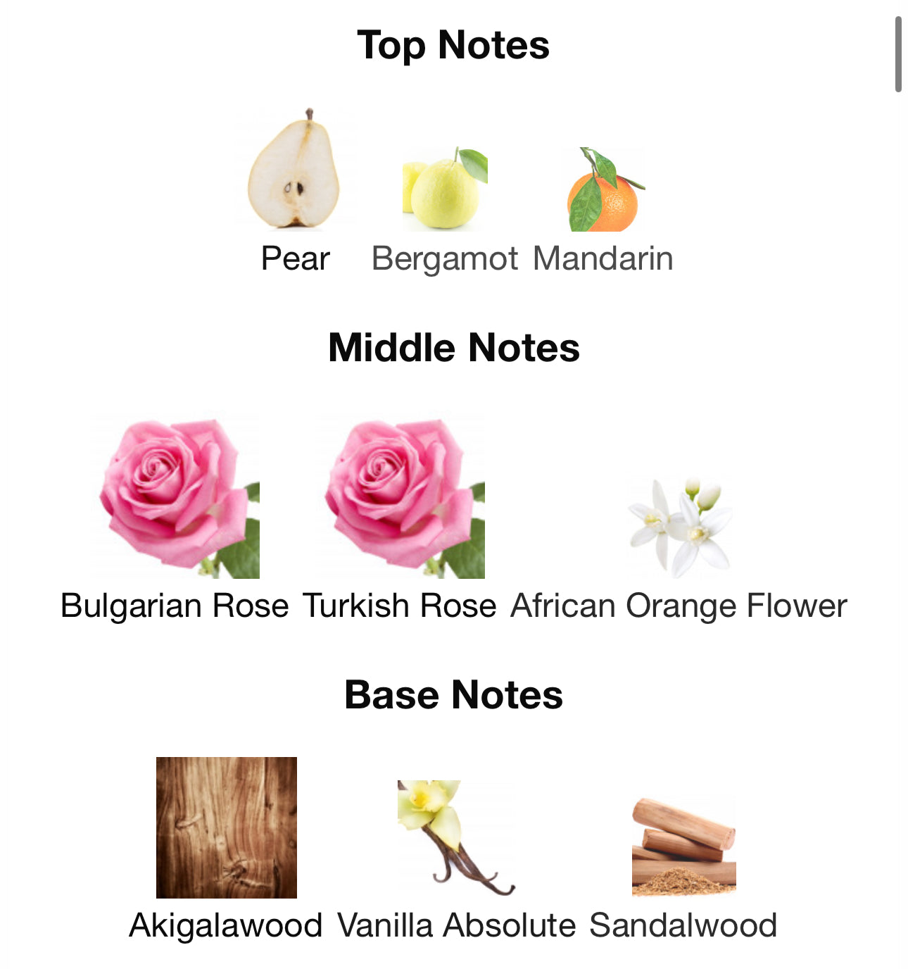 Andromeda’s Inspired by Impadia Eau De Parfum bdk