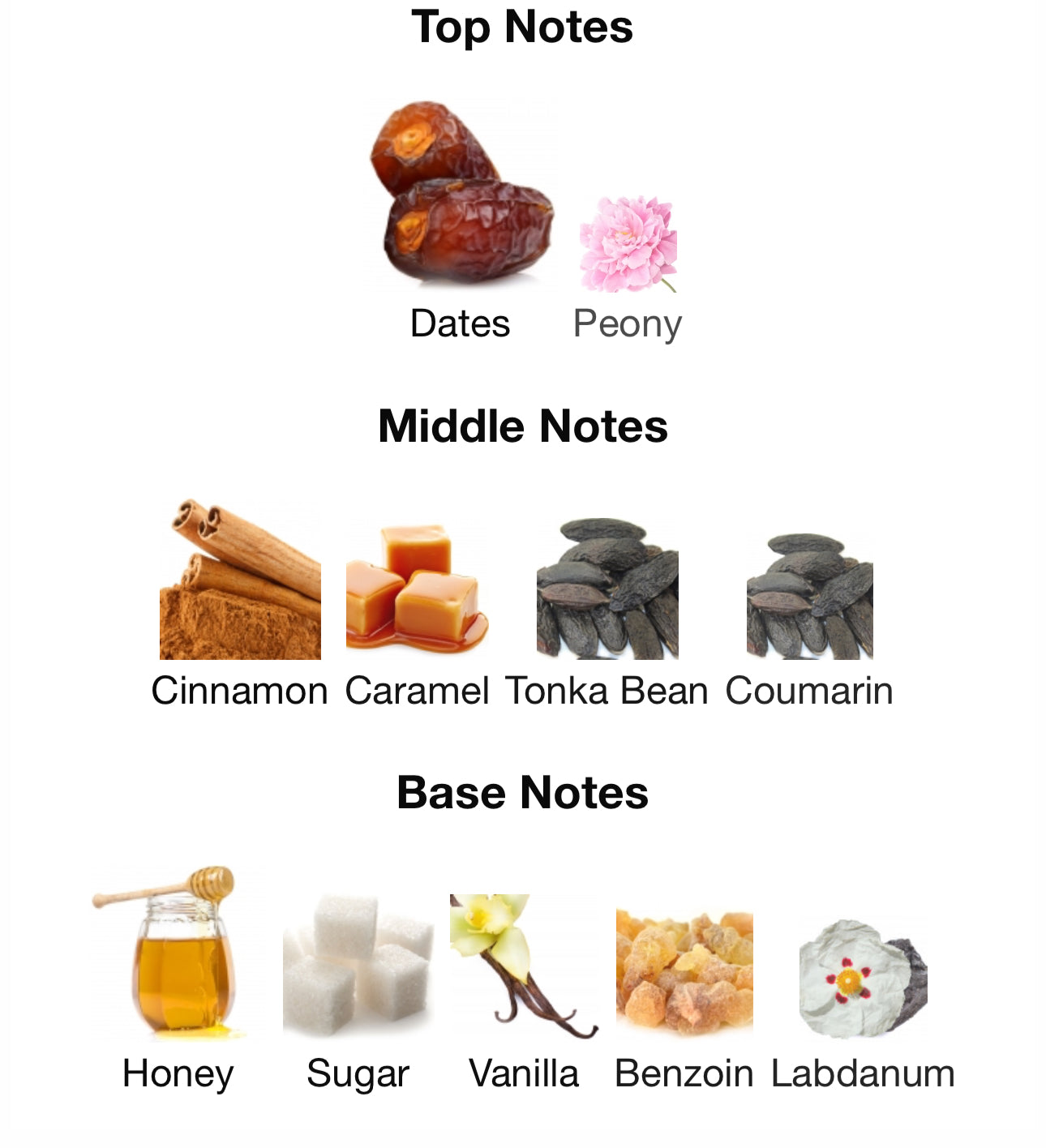 Andromeda's Inspired by Dates Delight Eau de Parfum – Andromeda's Moon