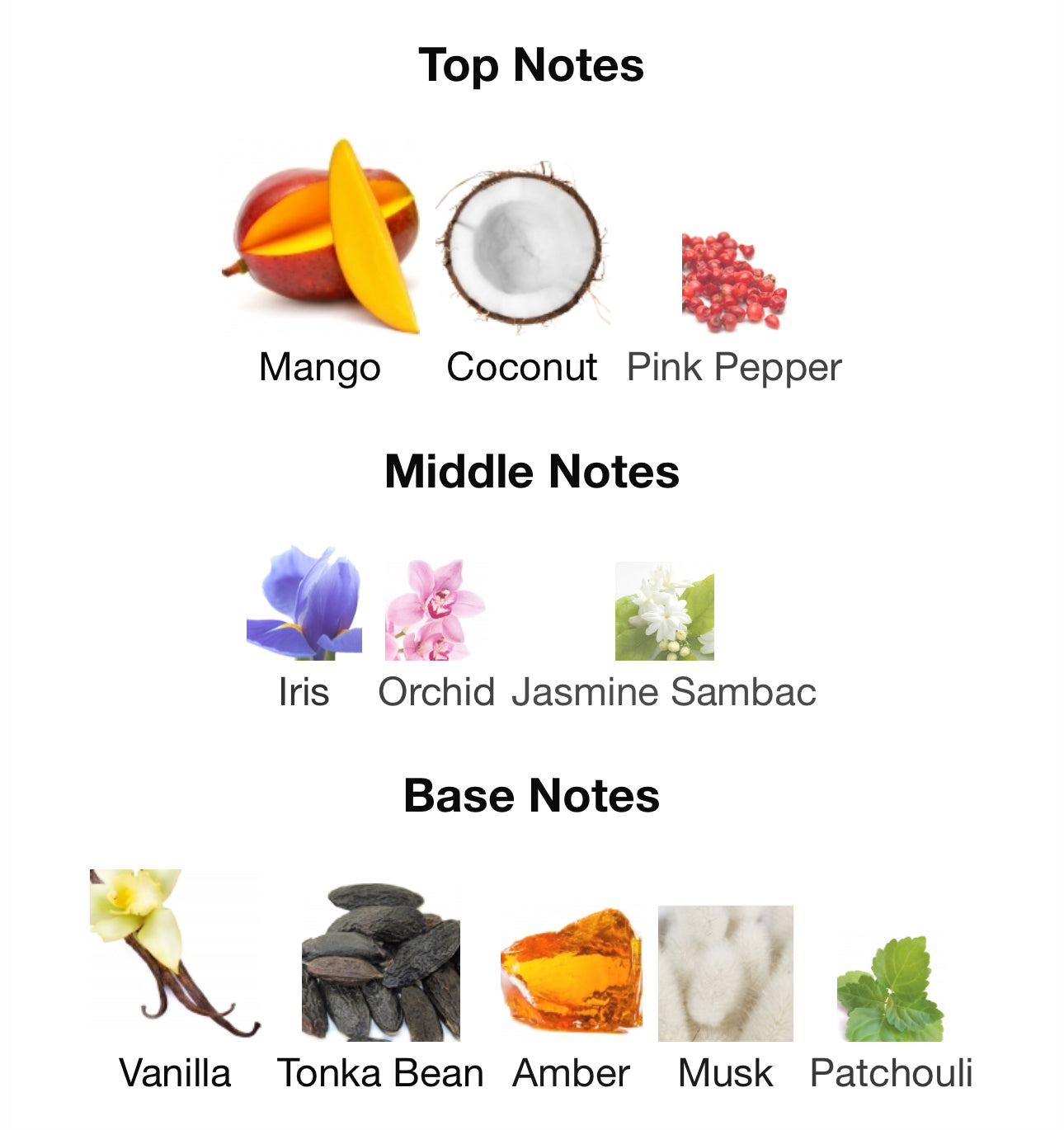 Inspired by A Eau De Parfum Pantheon Roma