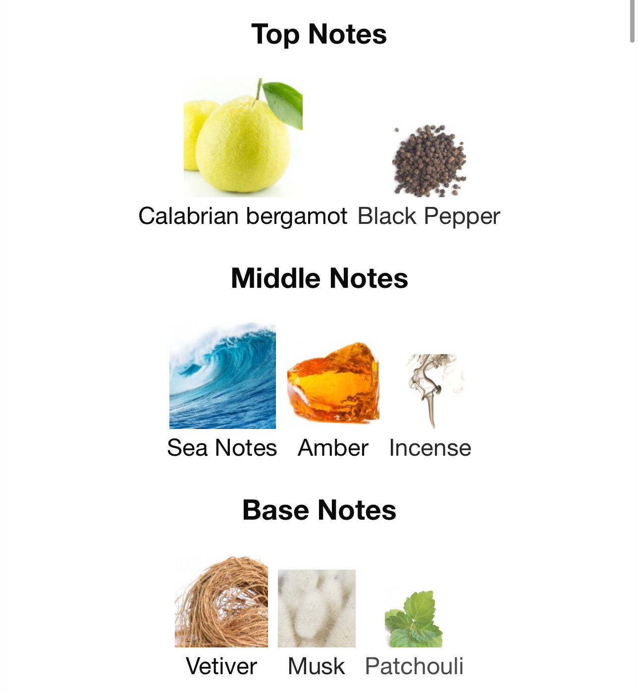 REFORMULATED Andromeda’s Inspired by Portofino 97 Eau De Parfum Victoria Beckham