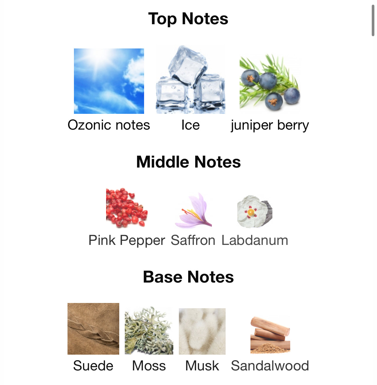 Andromeda’s Inspired by Penguin Eau De Parfum Zoologist