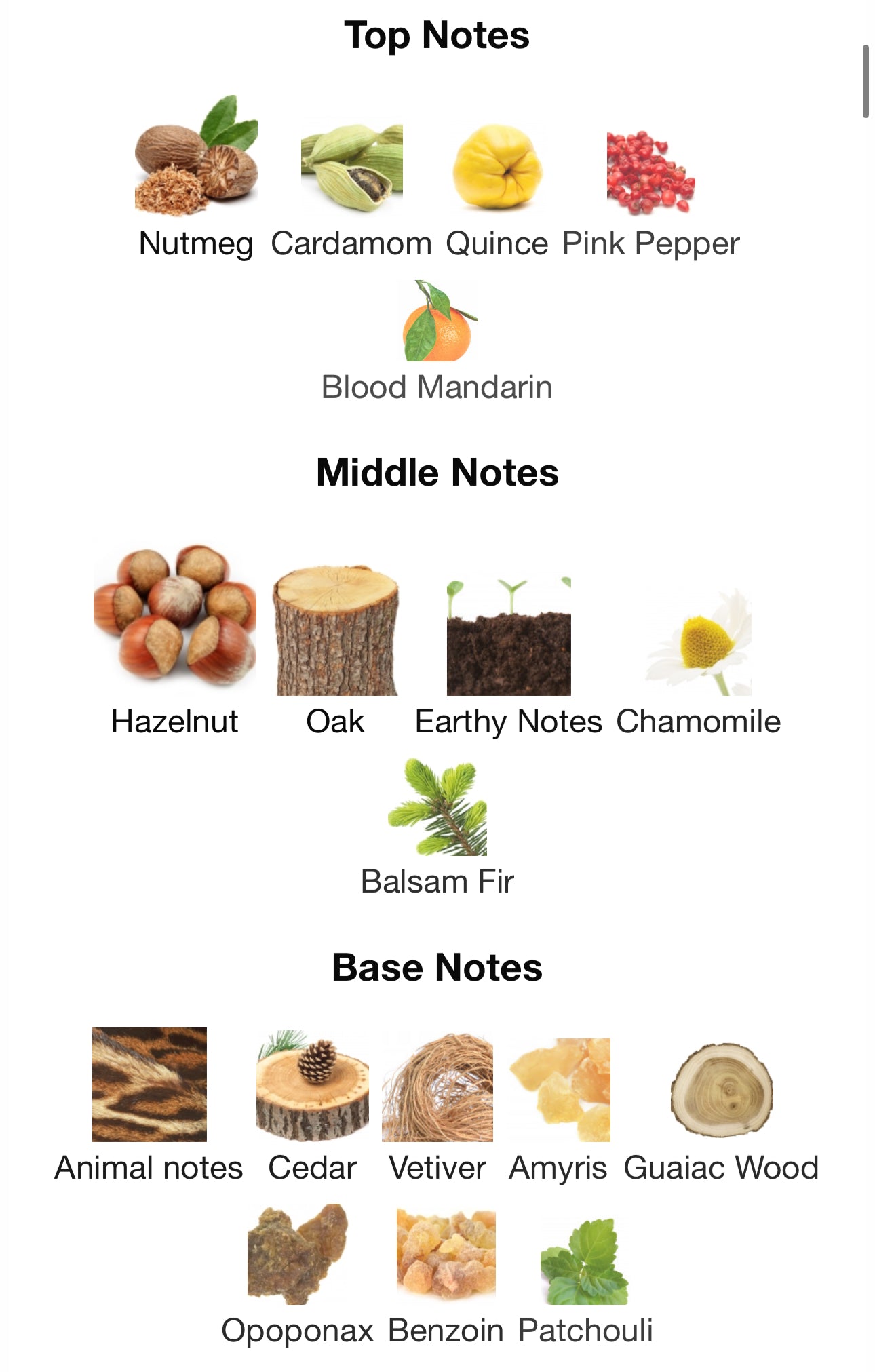 Andromeda's Inspired by Chipmunk Eau De Parfum Zoologist