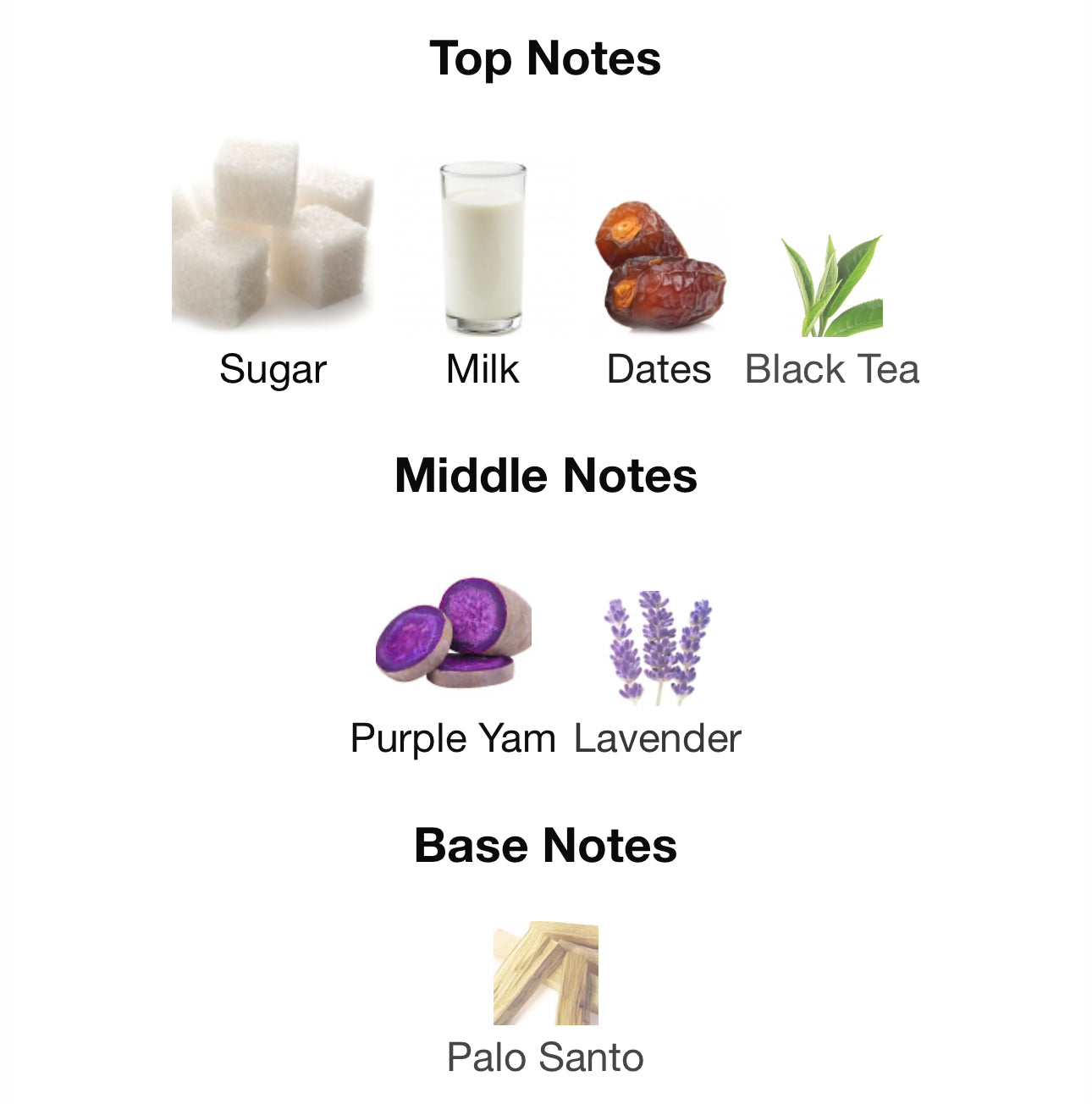 Andromeda's Inspired by Gentle Reminder Eau De Parfum Snif