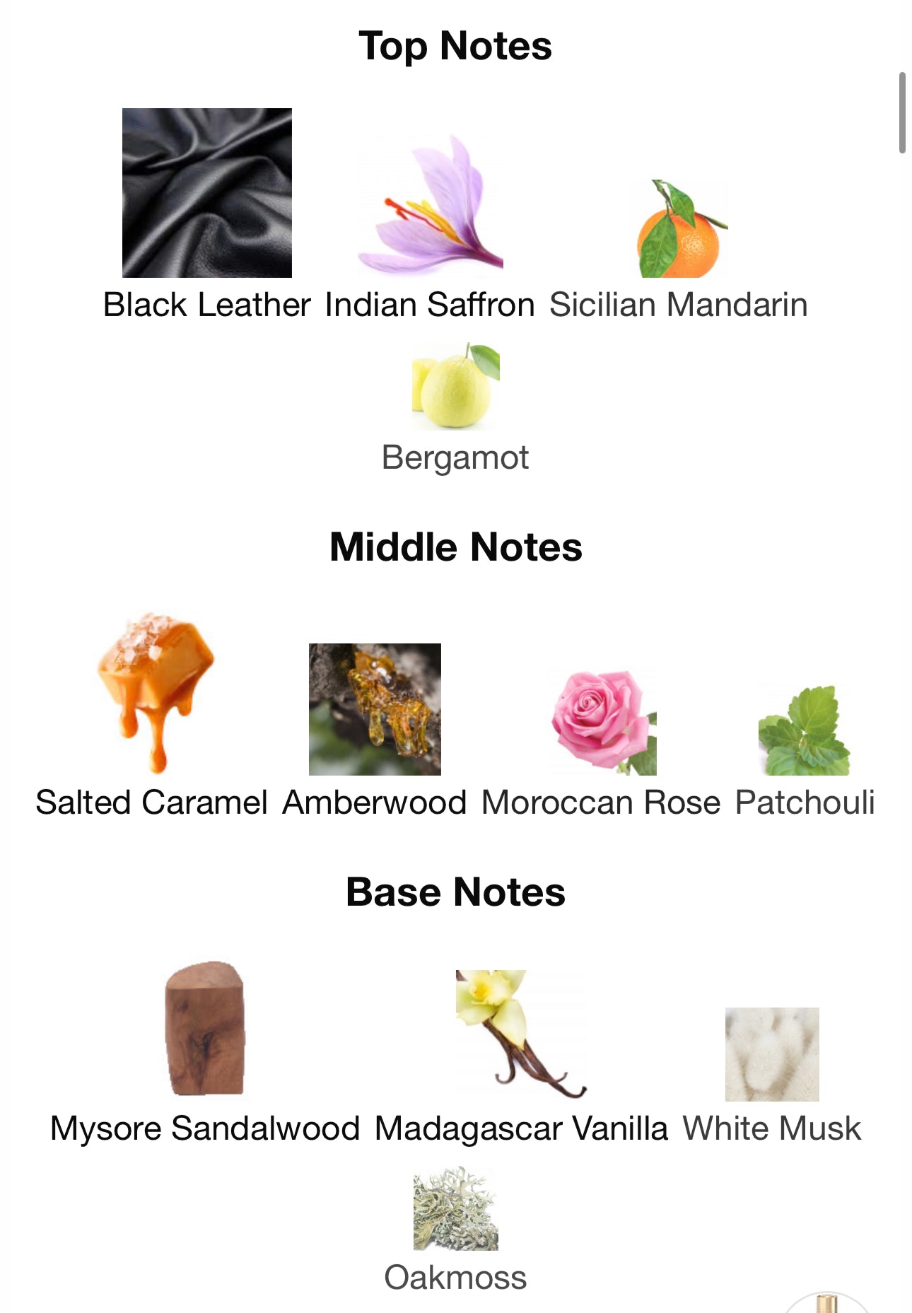 Andromeda's Inspired by Intense Instant Crush Eau De Parfum Mancera