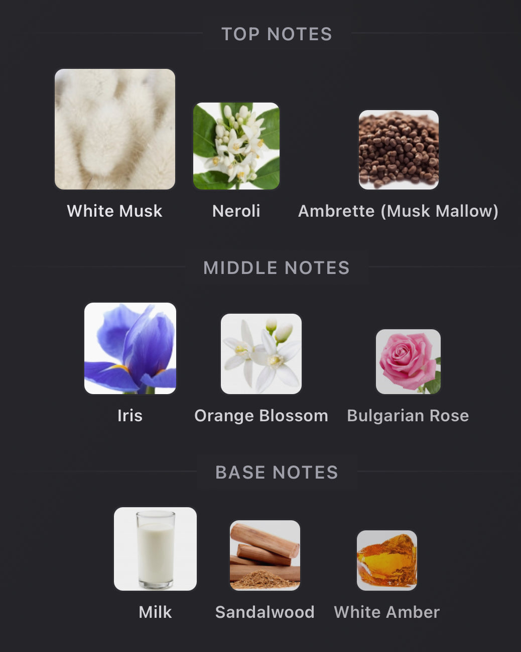 Inspired by Musc Outreblanc Eau De Parfum Guerlain