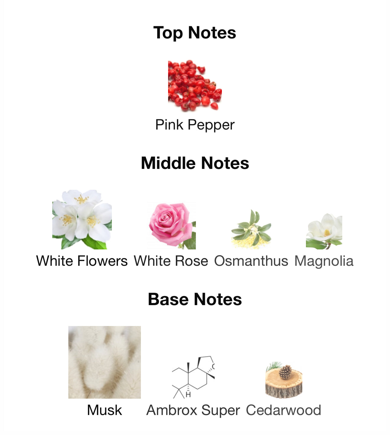 Andromeda's Inspired by Power Self Eau De Parfum Initio