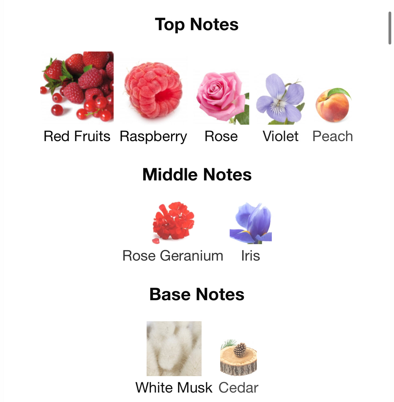 Andromeda's Inspired by Chance Eau Splendide Eau De Parfum Chanel