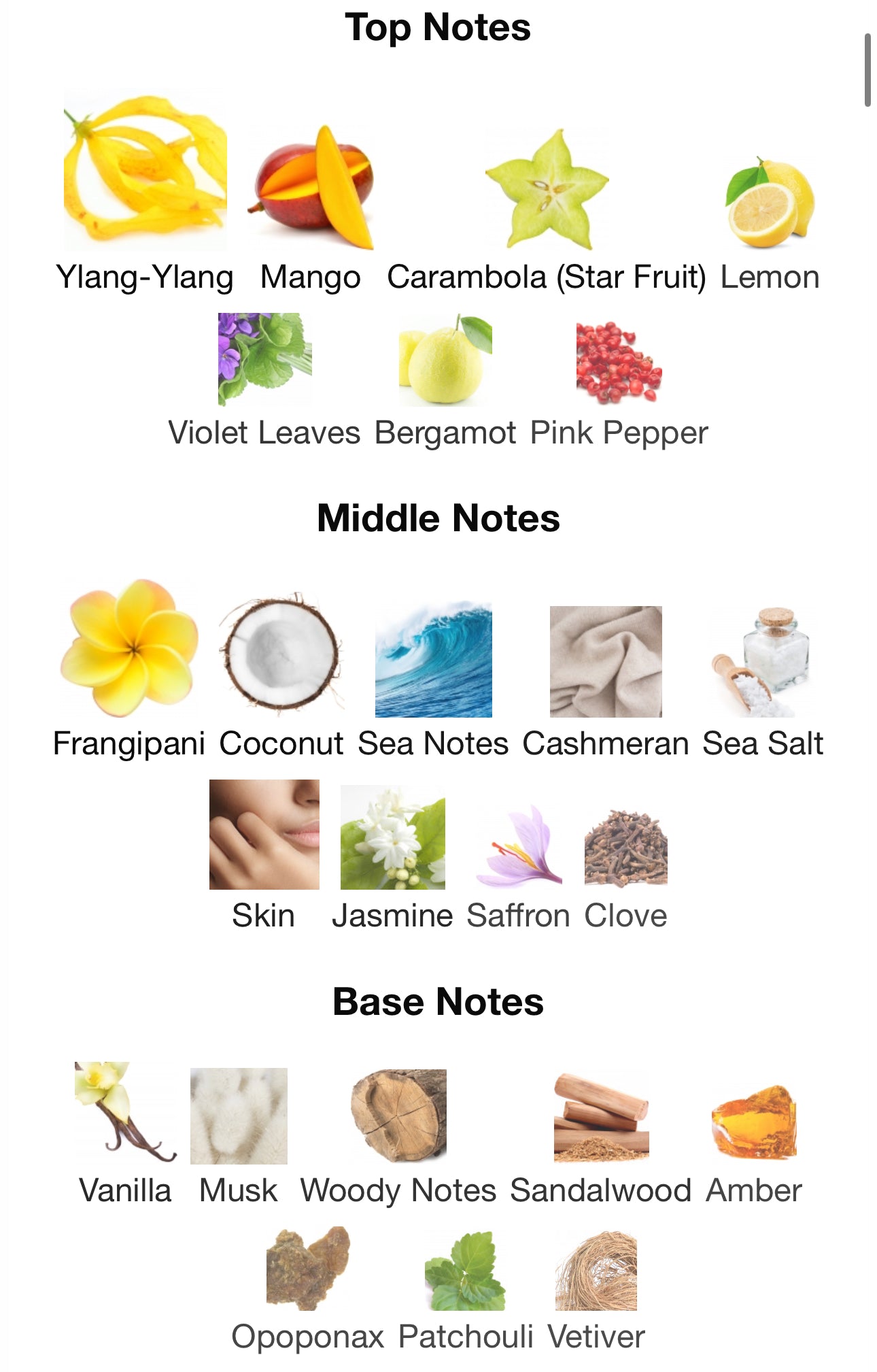 Andromeda's Inspired by Chameleon Eau De Parfum Zoologist