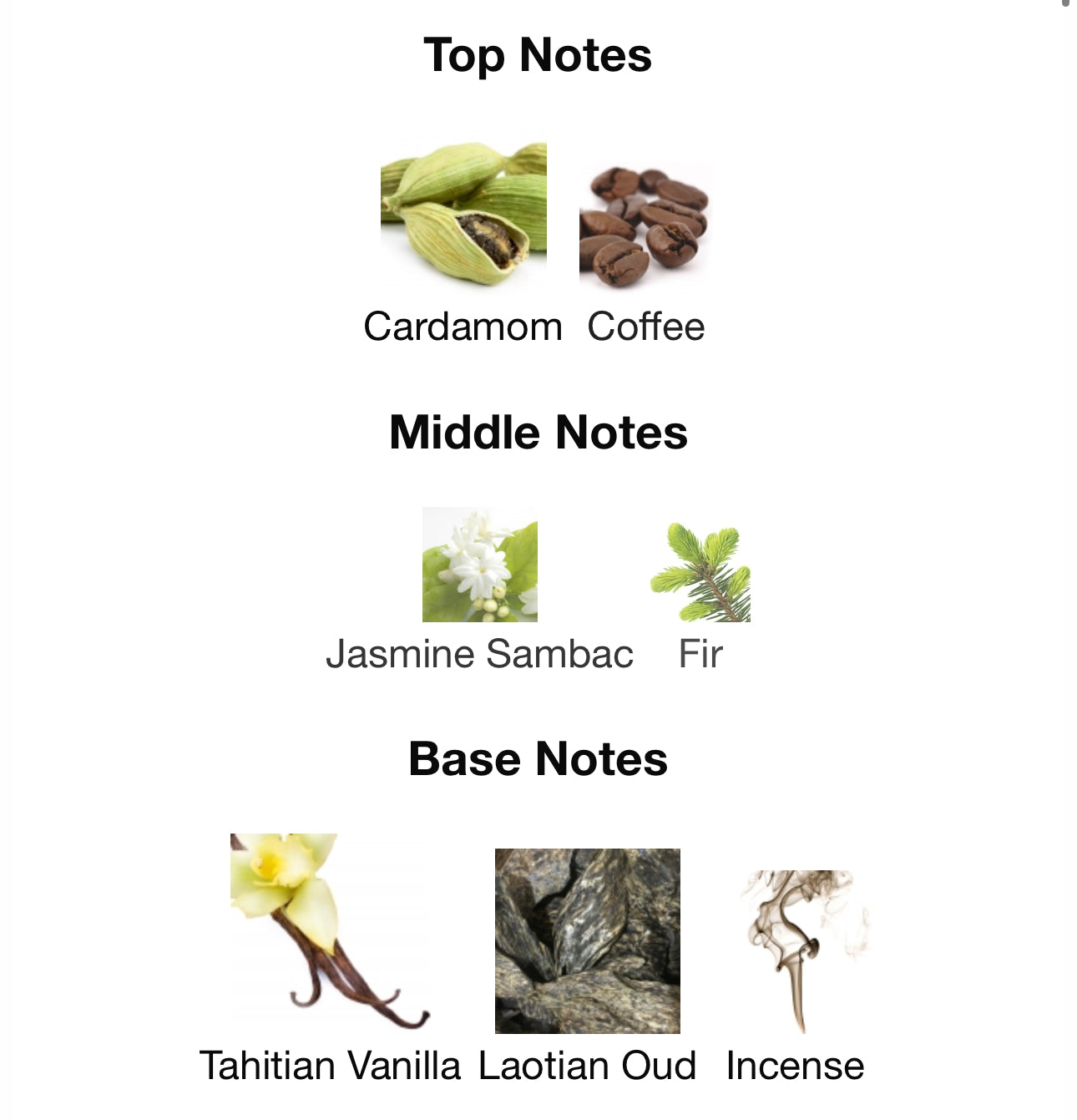 Andromeda's Inspired by The Bewitching Yasmine Eau De Parfum Penhaligon’s