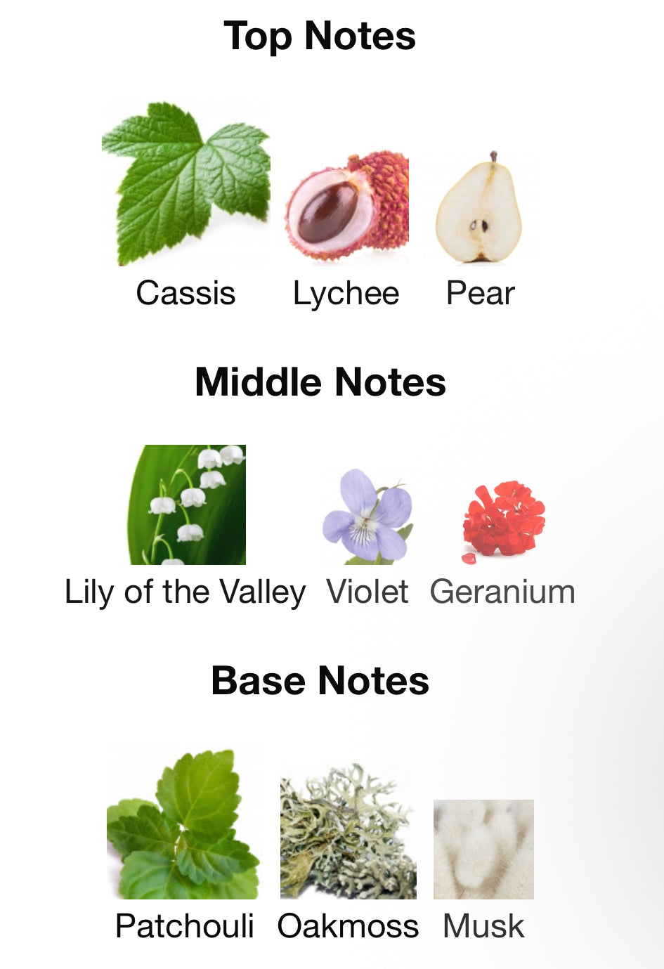 Andromeda’s Inspired by Queenside Eau De Parfum Mind Games