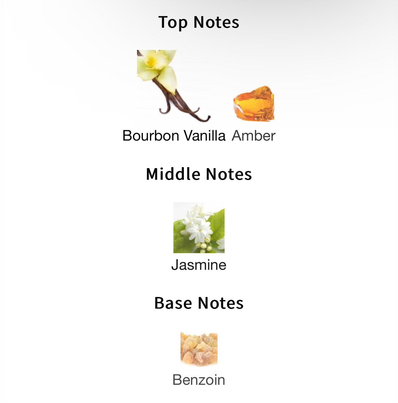 Inspired by Donna Born in Roma Intense Eau De Parfum – Andromeda's