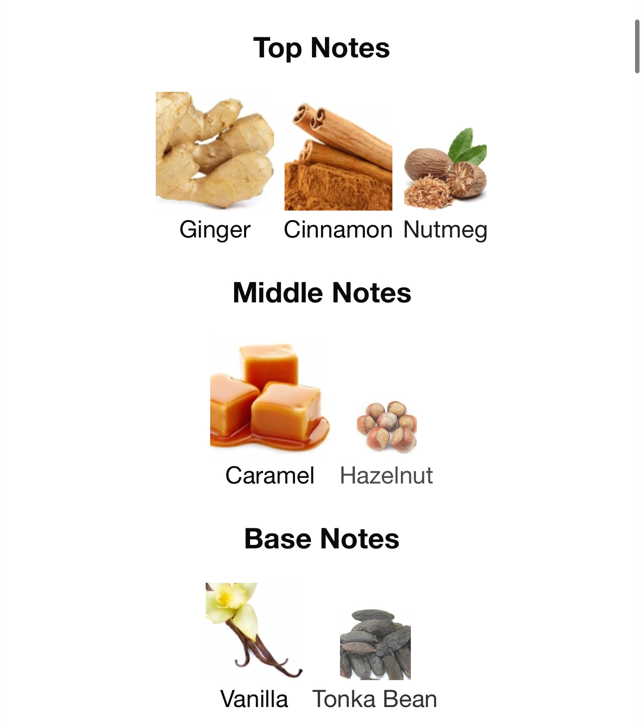 Andromeda’s Inspired by Ginger Biscuit Eau De Parfum Jo Malone