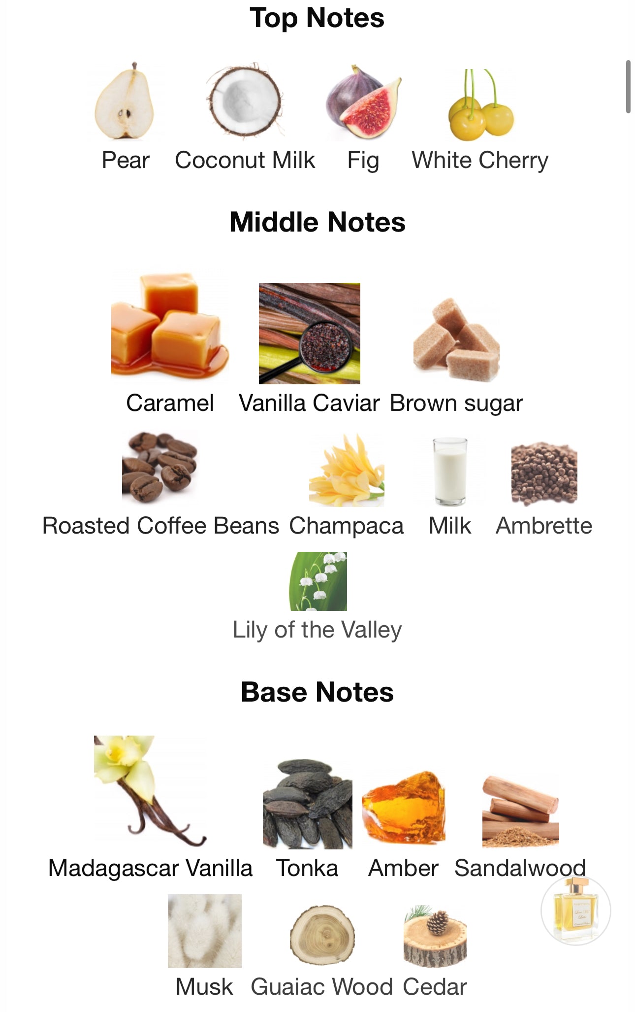 Andromeda's Inspired by Love Me Latte Eau De Parfum Narcotica