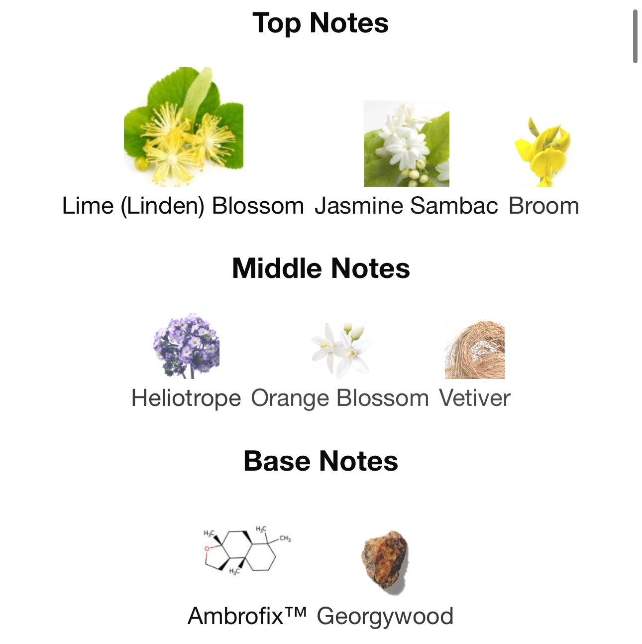 Andromeda’s Inspired by Tilia Eau De Parfum Marc-Antoine Barrois