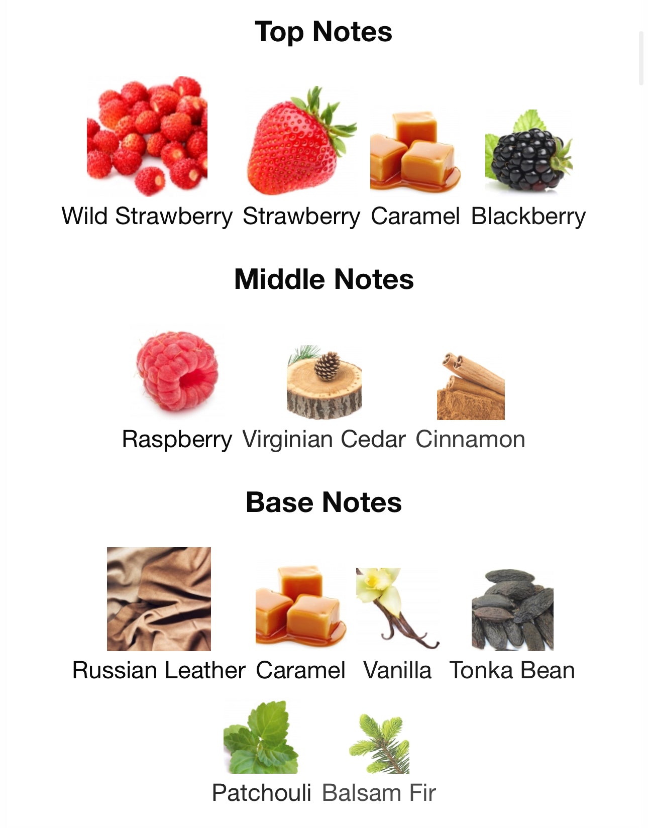 Andromeda’s Inspired by Venom Incarnat Eau De Parfum Stéphane Humbert Lucas 777