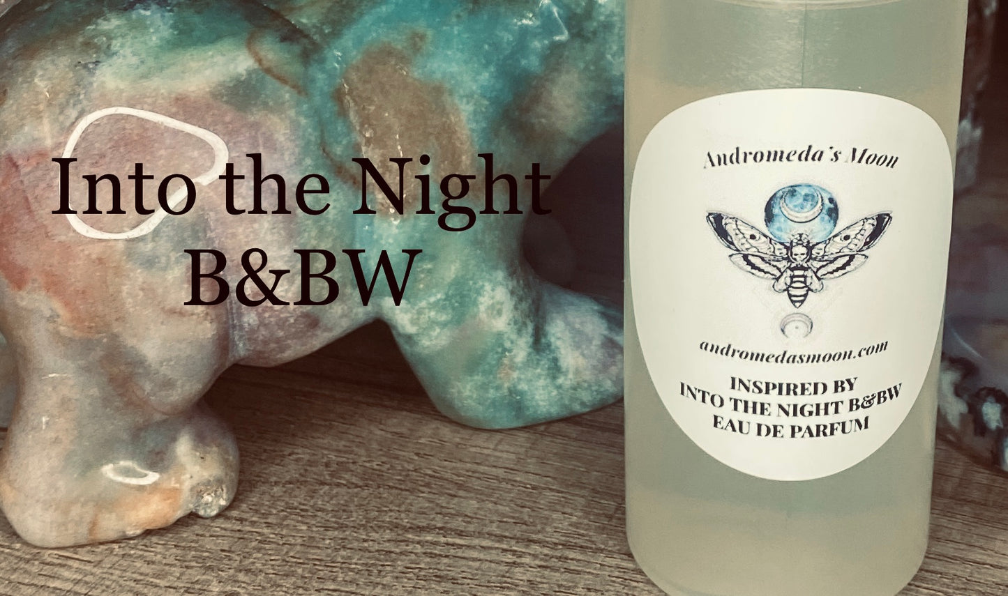 Inspired by Into The Night Eau De Parfum from Bath and Body Works