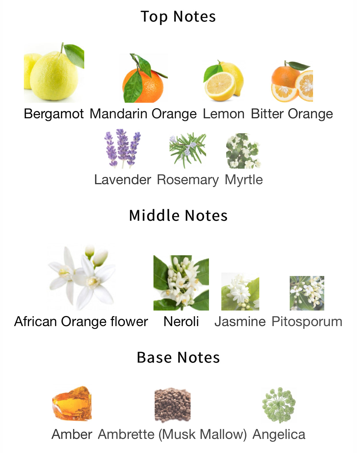 Inspired by Neroli Portofino Eau De Parfum Andromeda s Moon