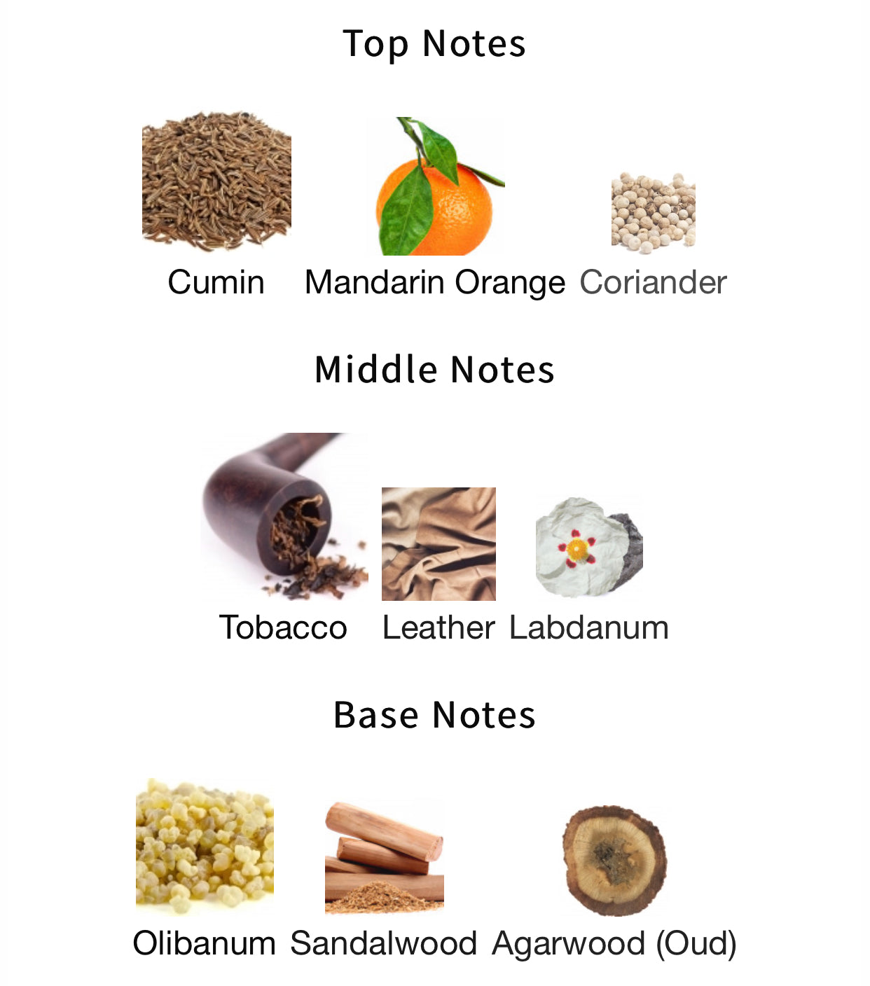 tobacco mandarin Inspired by Tobacco Mandarin Eau De Parfum – Andromeda's Moon tobacco mandarin Inspired by Tobacco Mandarin Eau De Parfum – Andromeda's Moon